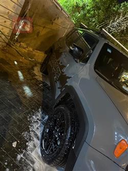 جيب رينيجيد